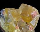 Lustrous, Yellow Cubic Fluorite Crystals - Morocco #44900-1